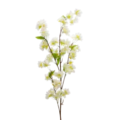 Evighedsbuket Ferskenblomst i Hvid (105cm)