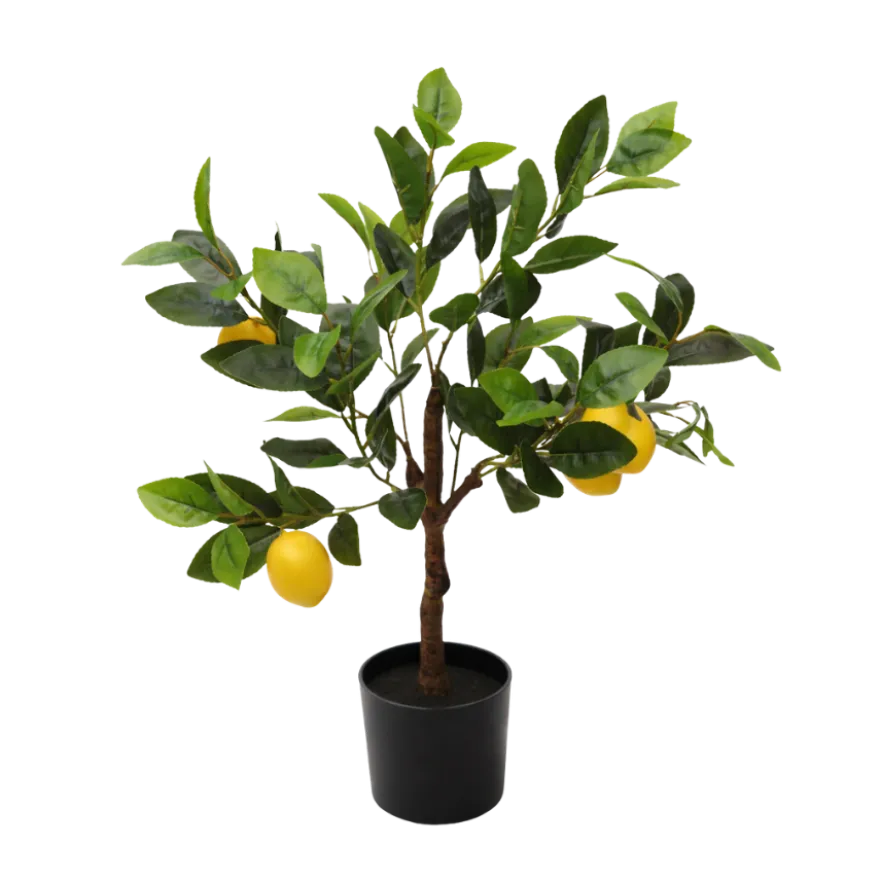 Kunstig Plante Citrontræ (H60cm)