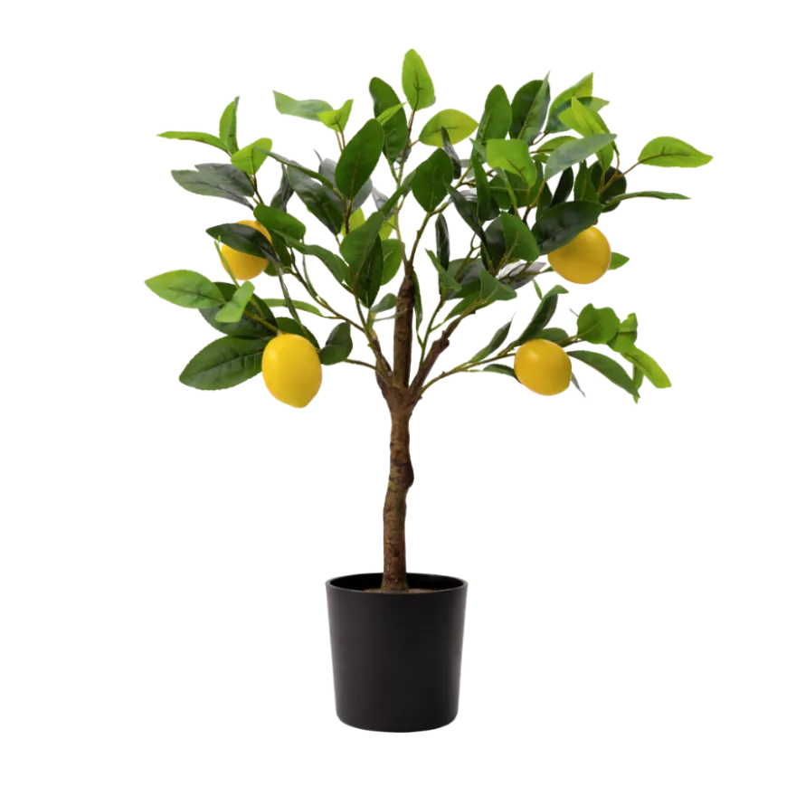 Kunstig Plante Citrontræ (H60cm)