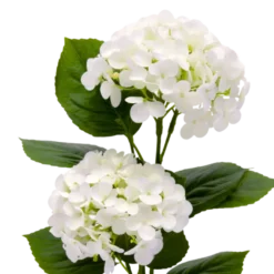 Kunstig Plante Hortensia i Hvid (H41cm)