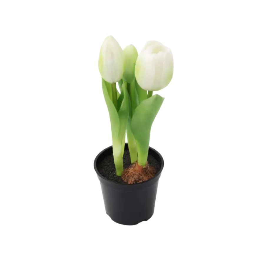 Kunstig Plante Tulipaner i Hvid (H23cm)