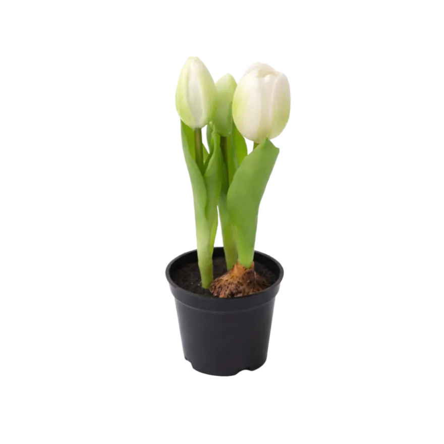 Kunstig Plante Tulipaner i Hvid (H23cm)