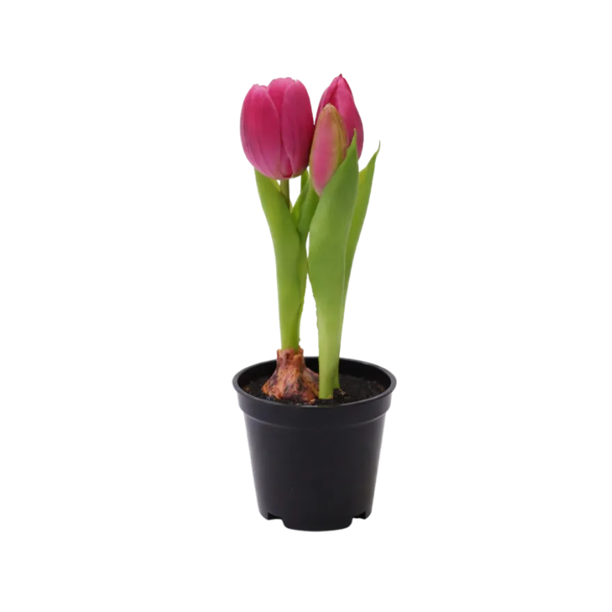 Kunstig Plante Tulipaner i Lyserød (H21cm)