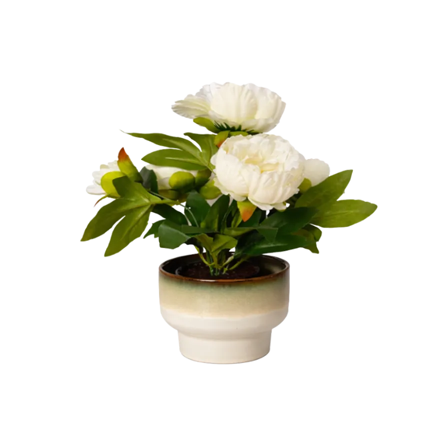 Rose i Potte i Hvid (35cm)