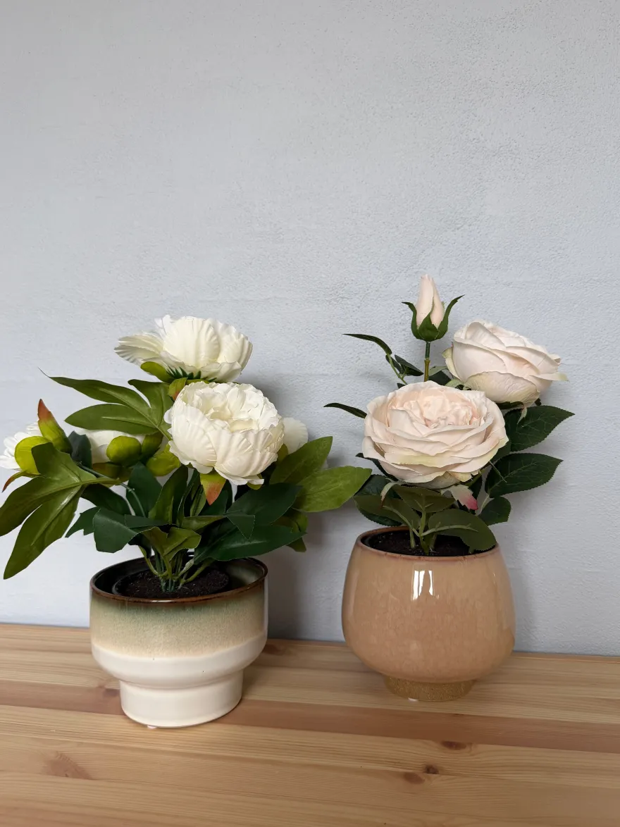 Rose i Potte i Hvid (35cm)