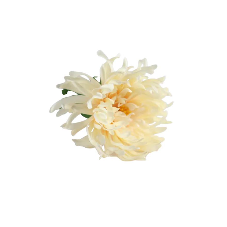 3 stk. Blomst i Creme Farve (H63cm)