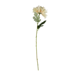 3 stk. Blomst i Creme Farve (H63cm)