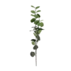 3 stk. Eucalyptus Grene I Grøn (H78cm)