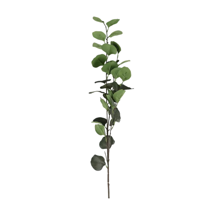 3 stk. Eucalyptus Grene I Grøn (H78cm)