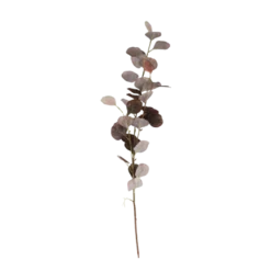 3 stk. Eucalyptus Grene I Kaffe Farve (H78cm)