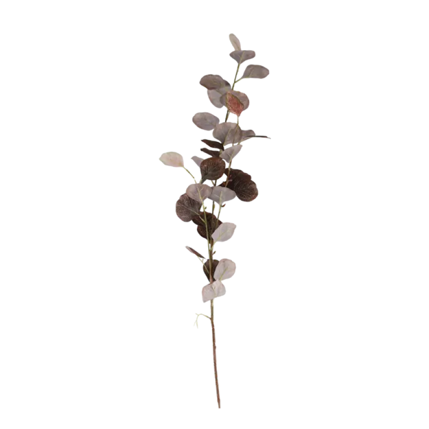 3 stk. Eucalyptus Grene I Kaffe Farve (H78cm)