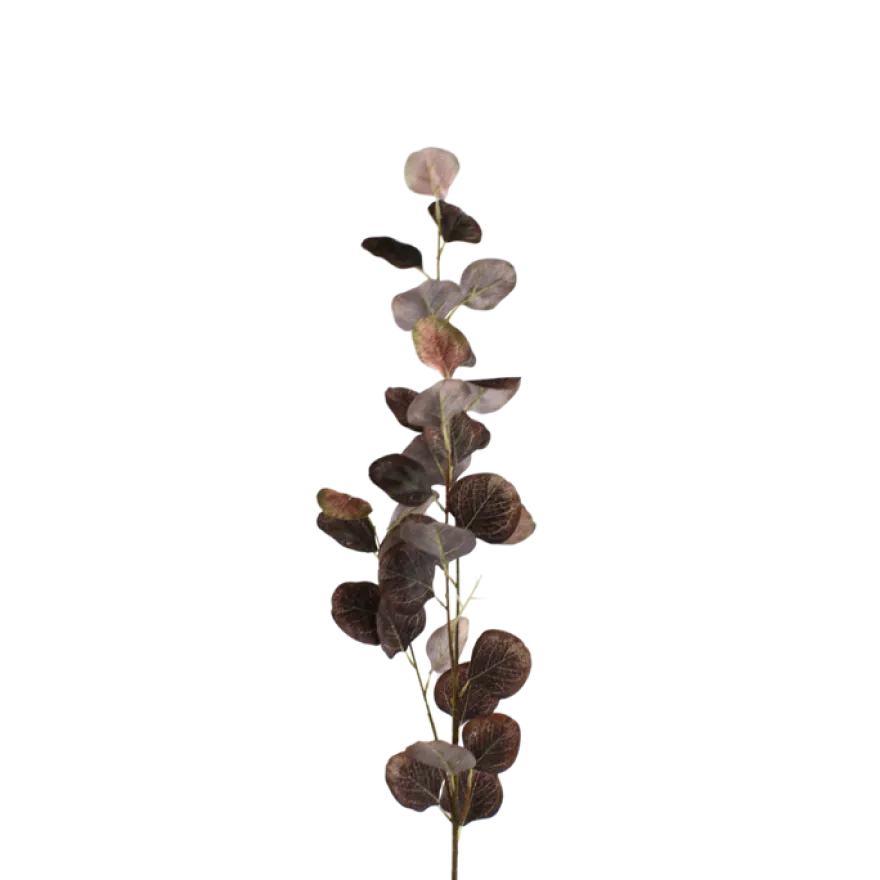 3 stk. Eucalyptus Grene I Kaffe Farve (H78cm)