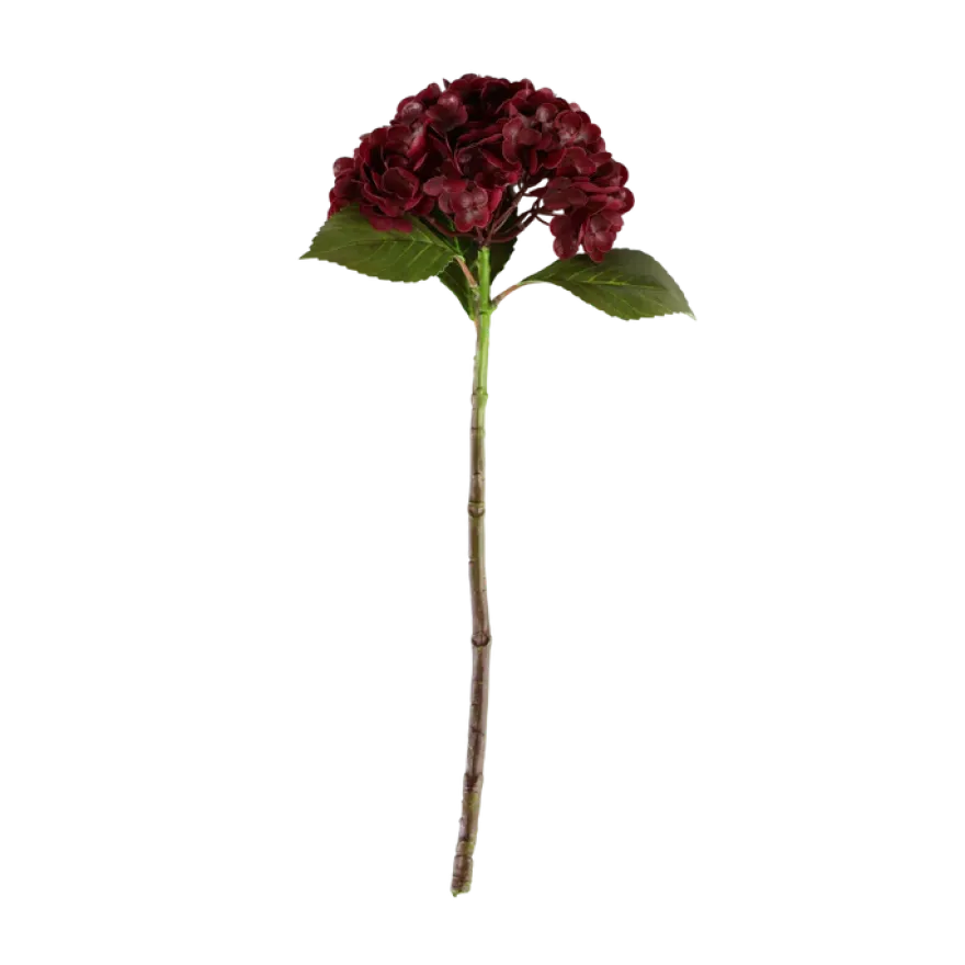 3 stk. Hortensia Blomster i Bordeaux (H55cm)