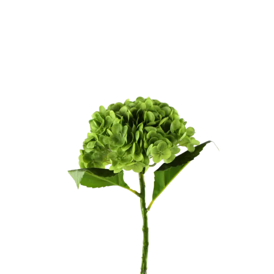 3 stk. Hortensia Blomster I Grøn (H55cm)