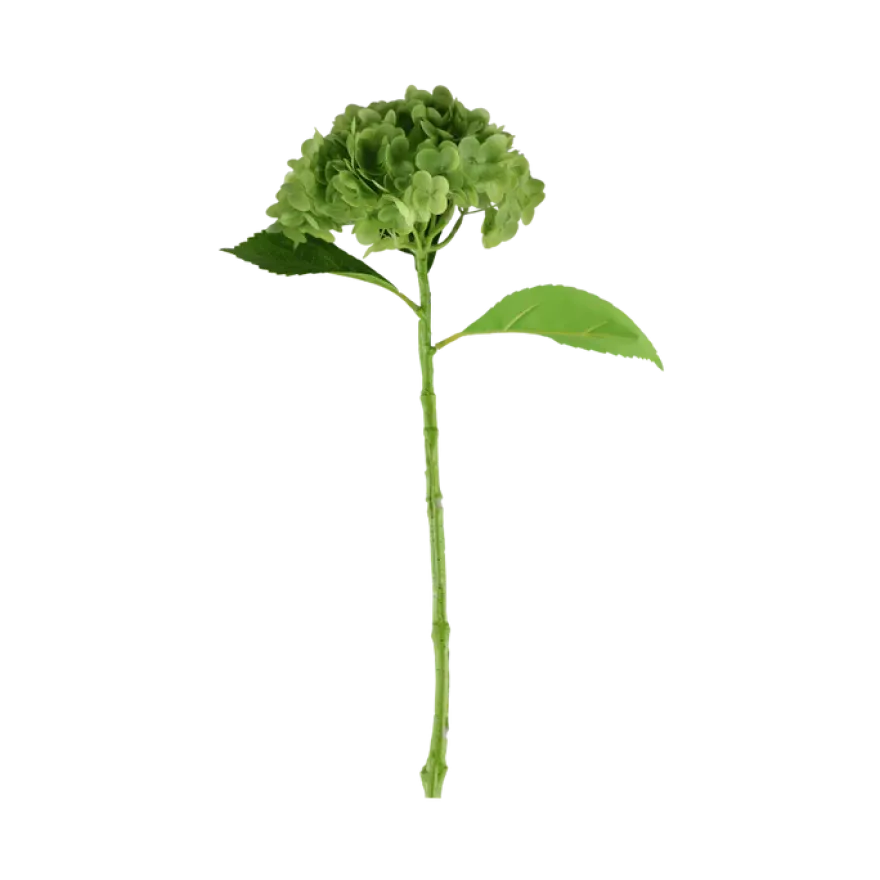 3 stk. Hortensia Blomster I Grøn (H55cm)