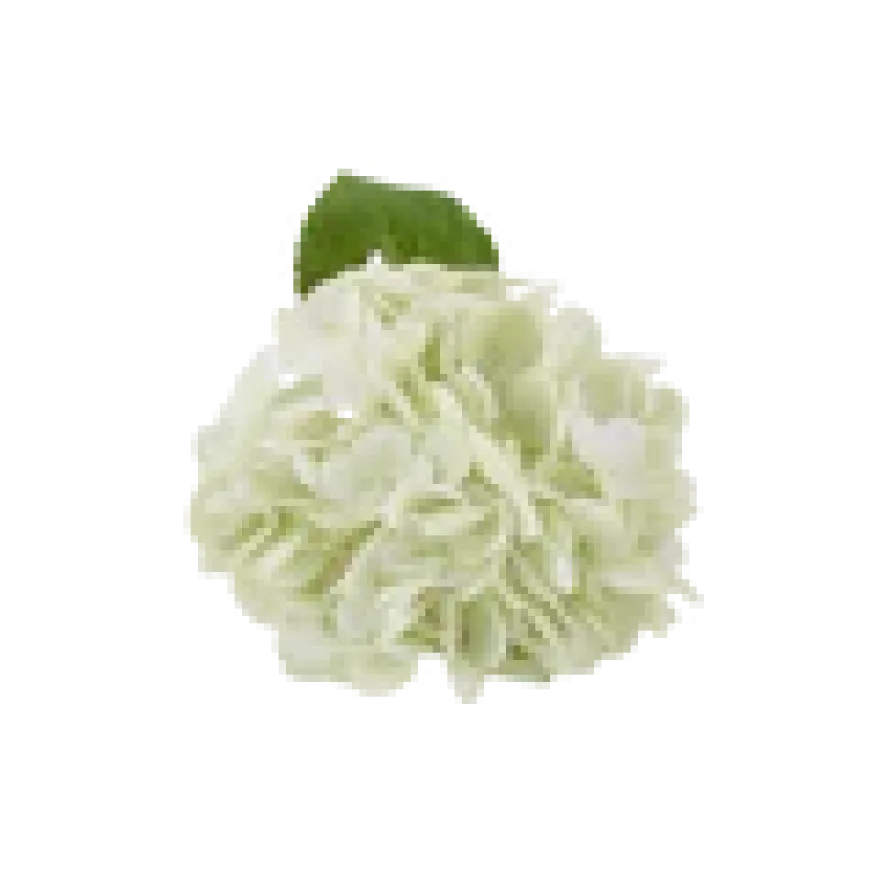 3 stk. Hortensia Blomster I Hvid (H32cm)