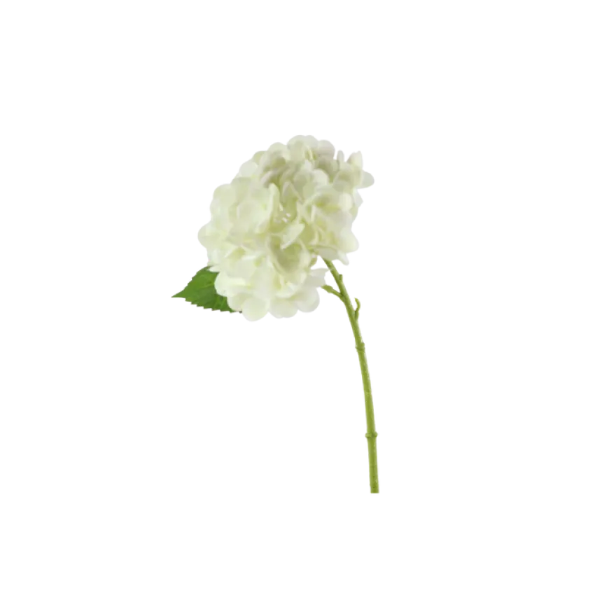 3 stk. Hortensia Blomster I Hvid (H32cm)