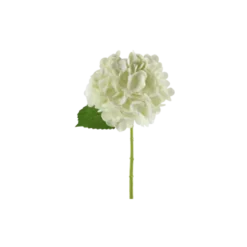 3 stk. Hortensia Blomster I Hvid (H32cm)