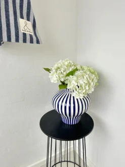 3 stk. Hortensia Blomsteri Hvid