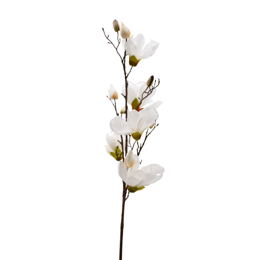 3 stk. Magnolia Blomster i Hvid (H100cm)