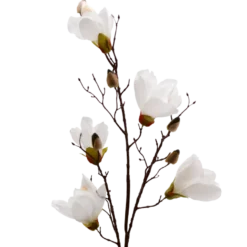 3 stk. Magnolia Blomster i Hvid (H100cm)