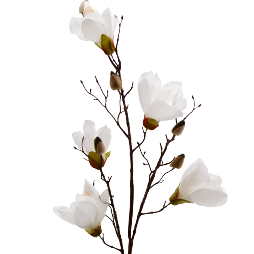 3 stk. Magnolia Blomster i Hvid (H100cm)