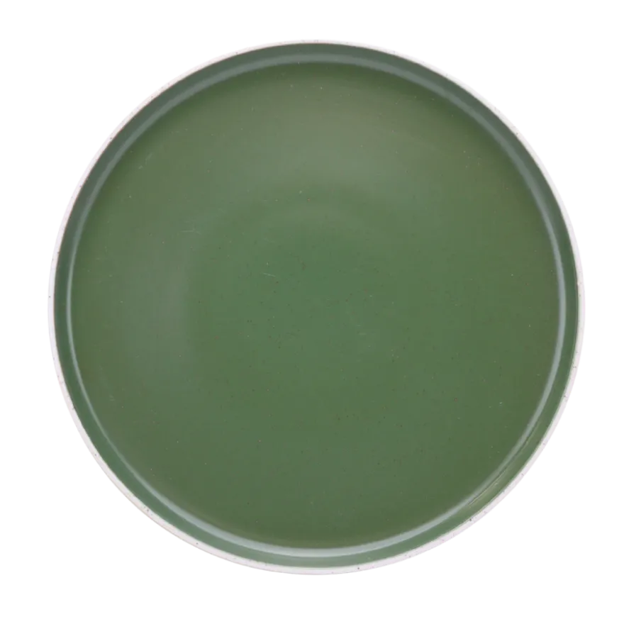 6 stk. Middagstallerkener CELENE i Grøn (Ø26,4cm)