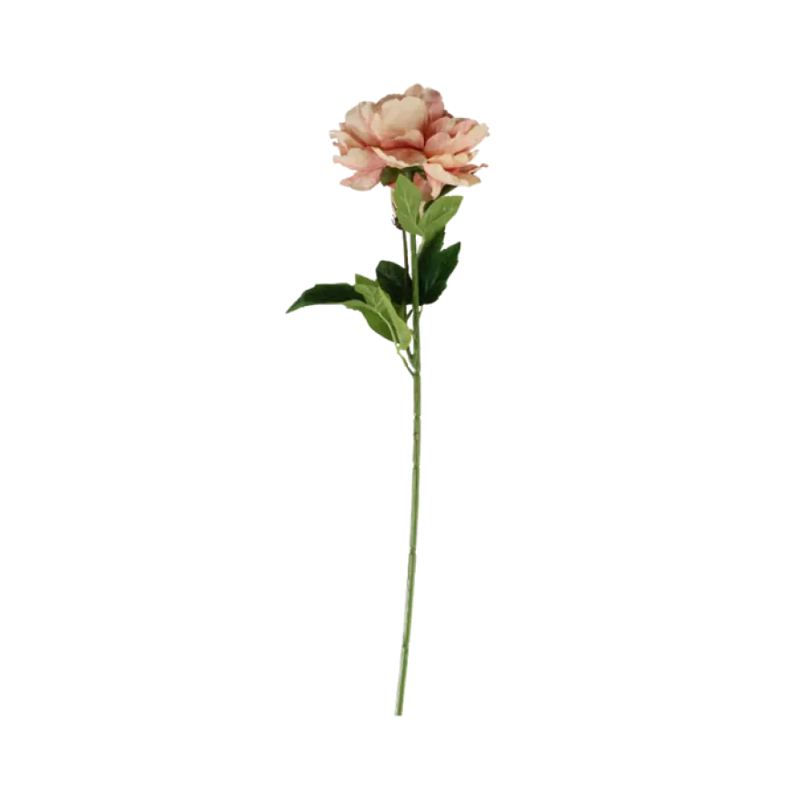 3 stk. Pæon Blomster Lyserød (H64cm)