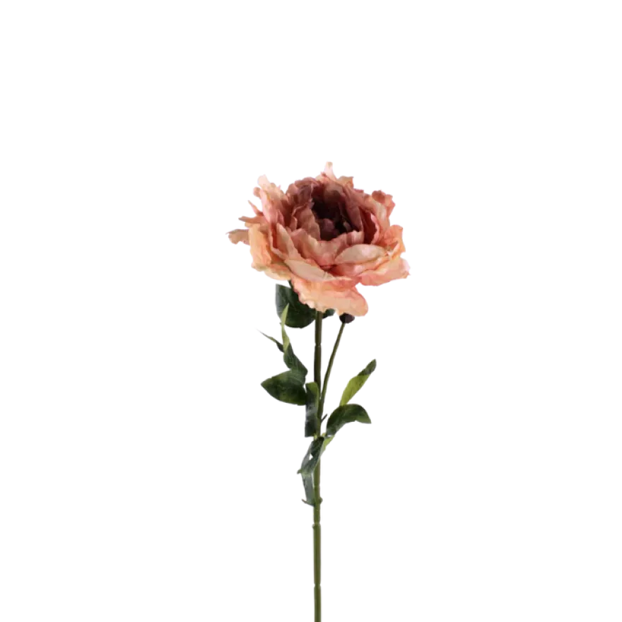 3 stk. Pæon Blomster Lyserød (H64cm)