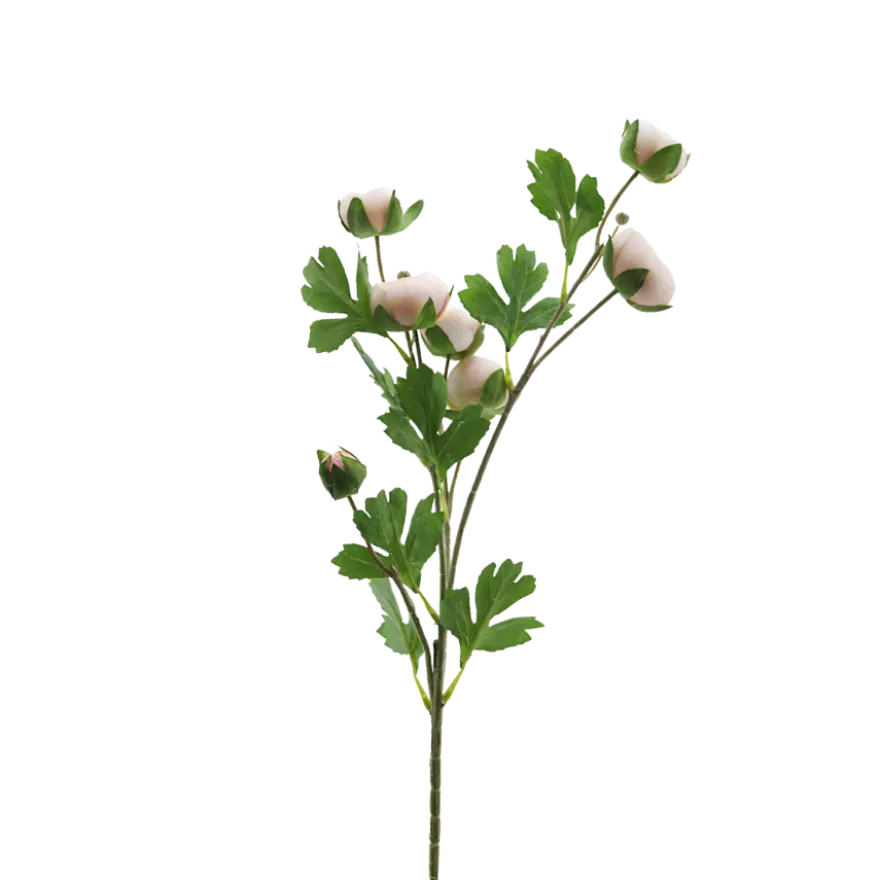 3 stk. Ranunkel Blomster i Champagne Farve (73cm)