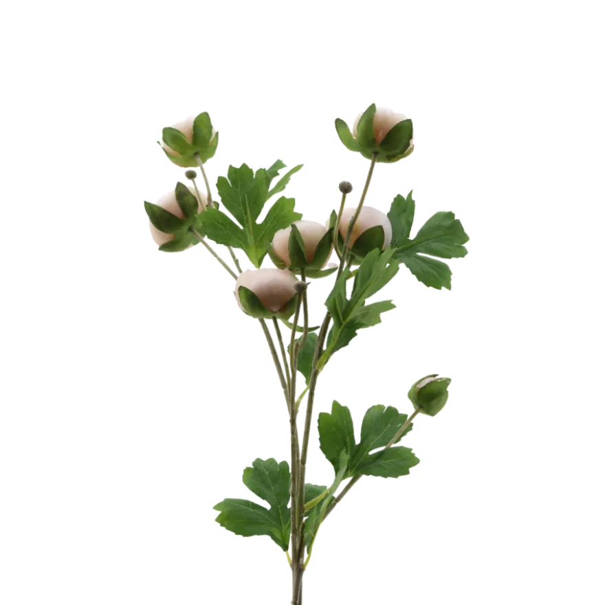3 stk. Ranunkel Blomster i Champagne Farve (73cm)