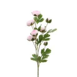 3 stk. Ranunkel Blomster i Lyserød (H73cm)