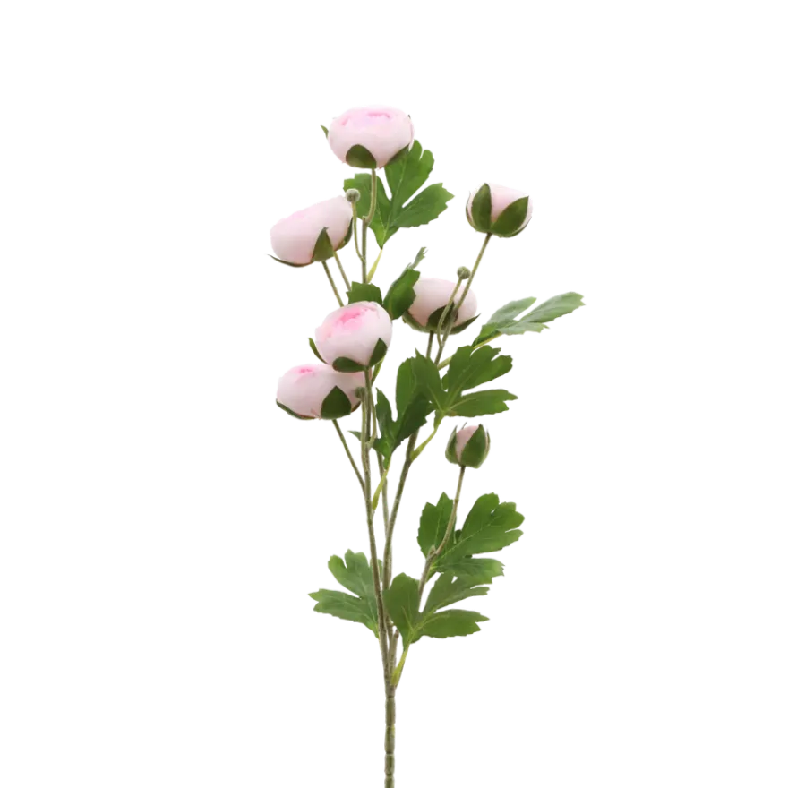 3 stk. Ranunkel Blomster i Lyserød (H73cm)