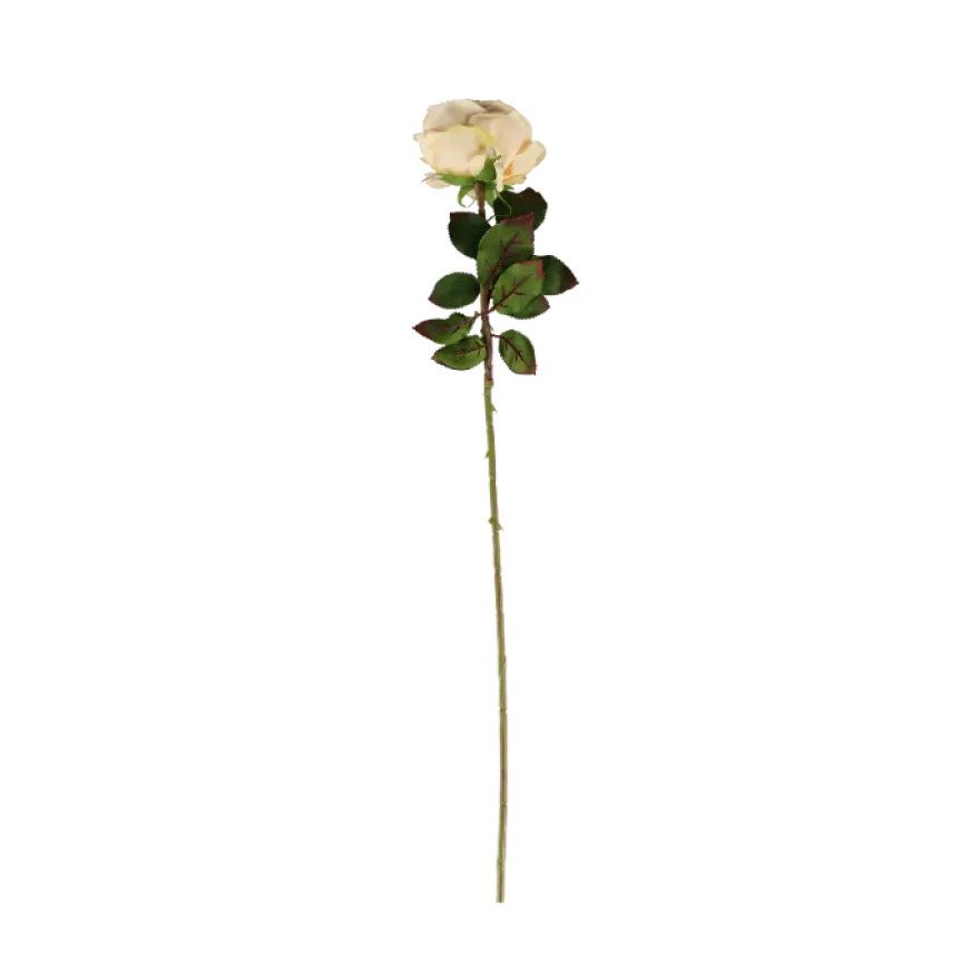 3 stk. Roser i Champagne Farve (H68cm)