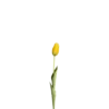 3 stk. Tulipaner i Gul (H48cm)