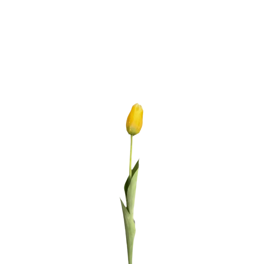 3 stk. Tulipaner i Gul (H48cm)