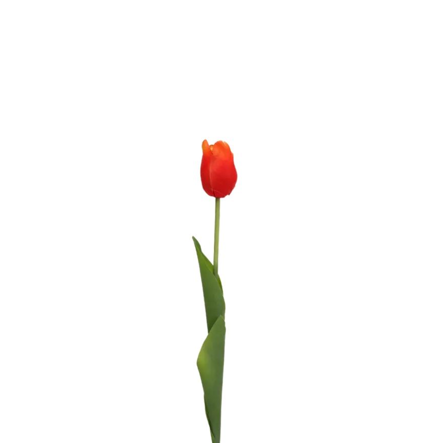 3 stk. Tulipaner i Orange (H48cm)