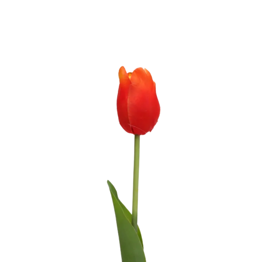 3 stk. Tulipaner i Orange (H48cm)