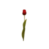 3 stk. Tulipaner i Rød (H48cm)