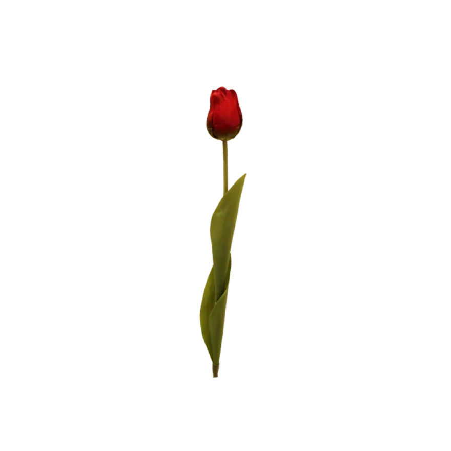 3 stk. Tulipaner i Rød (H48cm)
