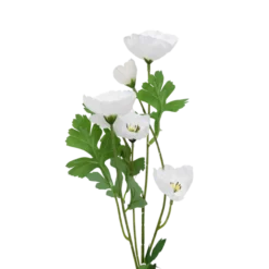 3 stk. Valmueblomster i Hvid (H40cm)