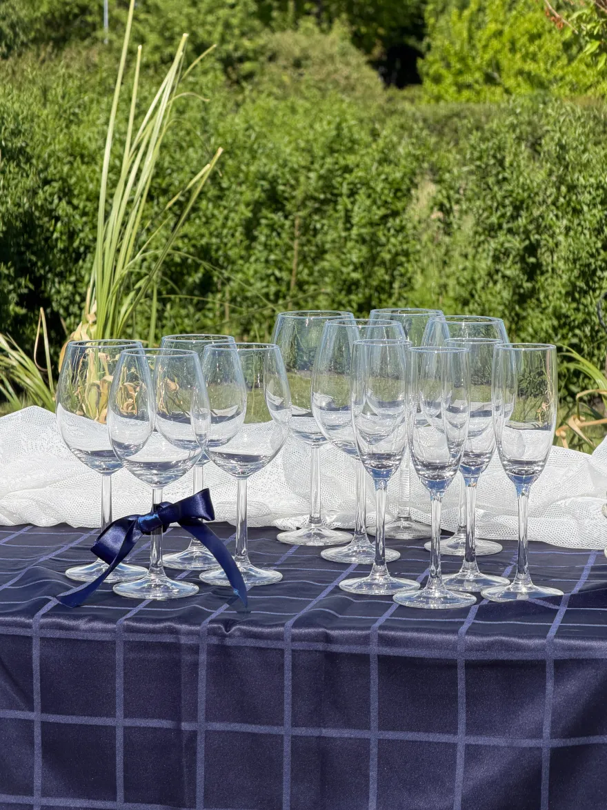 4 stk. Vinglas (580ml)