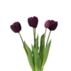 Tulipaner Buket i Lilla (H40cm)