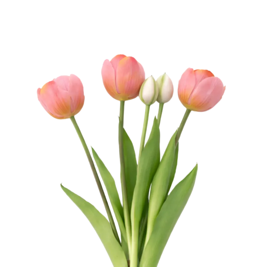 Tulipaner Buket i Lyserød (H40cm)