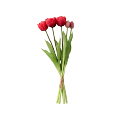 Tulipaner Buket i Rød (H40cm)