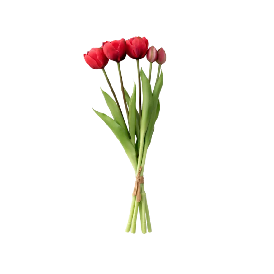 Tulipaner Buket i Rød (H40cm)