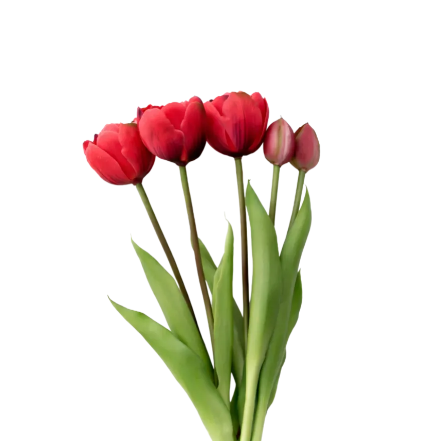 Tulipaner Buket i Rød (H40cm)